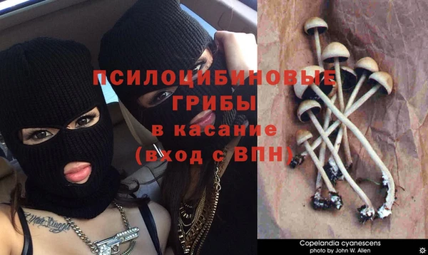 спиды Покров