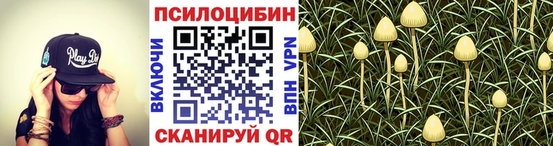 закладка  Шумерля  Галлюциногенные грибы GOLDEN TEACHER 